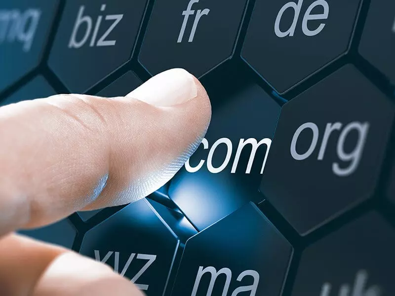 Domain Sahibi Olarak Yapabilecekleriniz